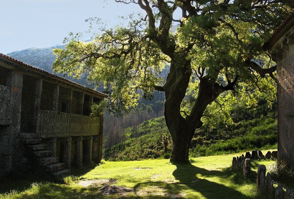 mosteiro_de_s__jo_o_d_arga