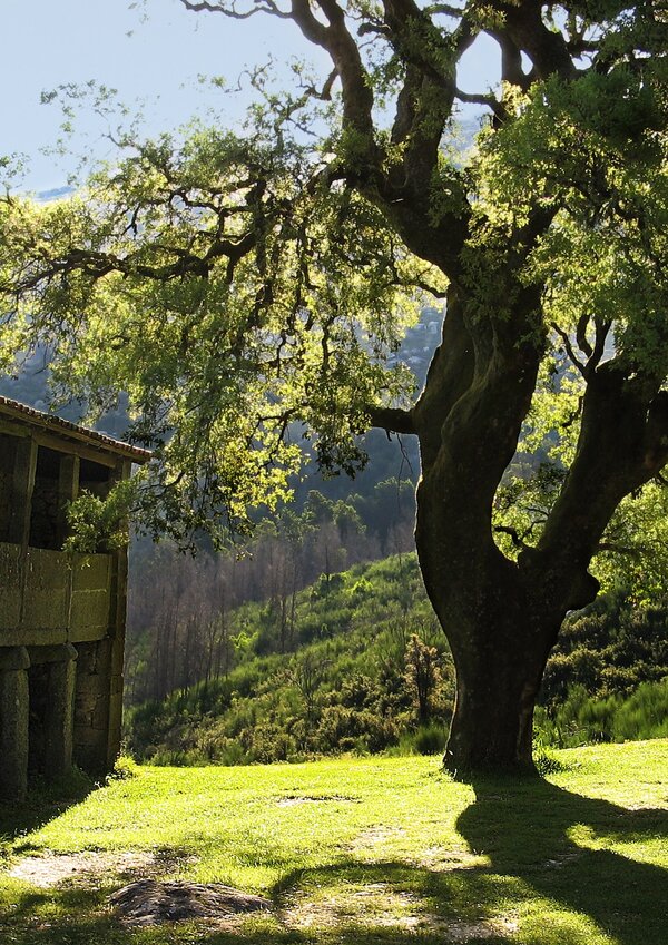 mosteiro_de_s__jo_o_d_arga