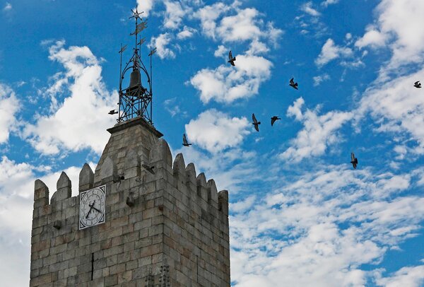 3m1a3088_nuvens_passaros