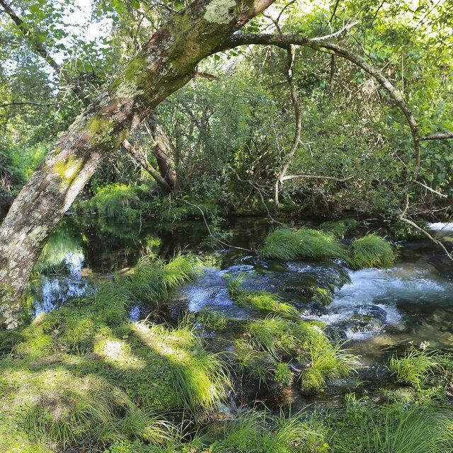 Parque merendas rio ancora  orbacem  3  1 640 640
