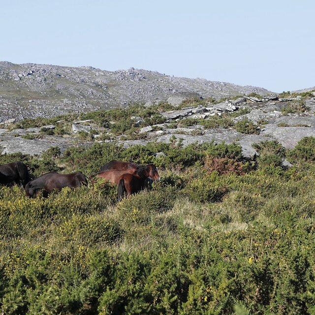 Trail 2015 sdarga 142 1 640 640