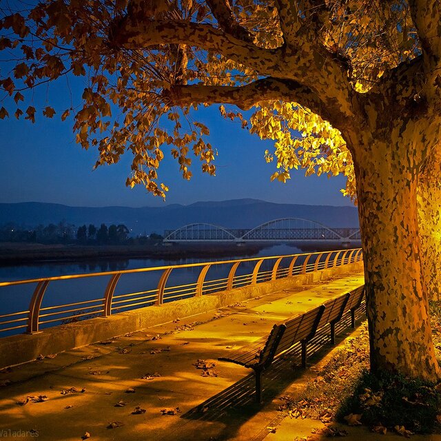 Parque noite net 1 640 640