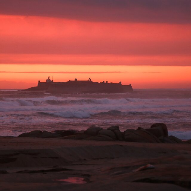 3m1a8526 net 1 640 640