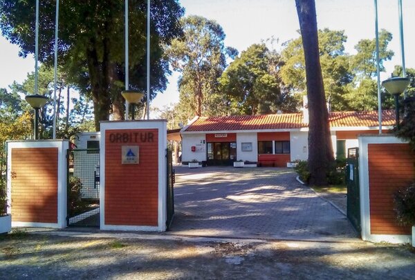 img_20211113_114902_edited_800x600