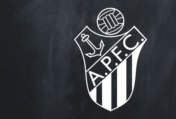 foto_emblema___camara